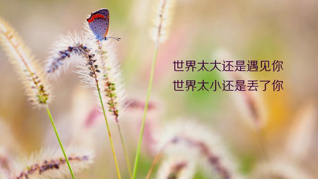 简约带文字