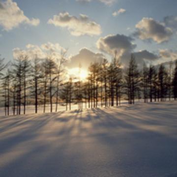 清新迷人的冬季雪景头像