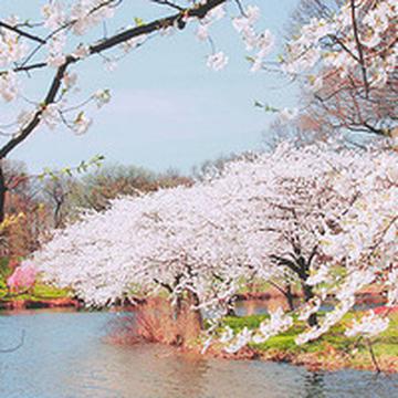 唯美山水头像