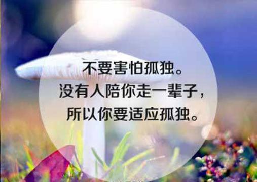 qq说说励志文字