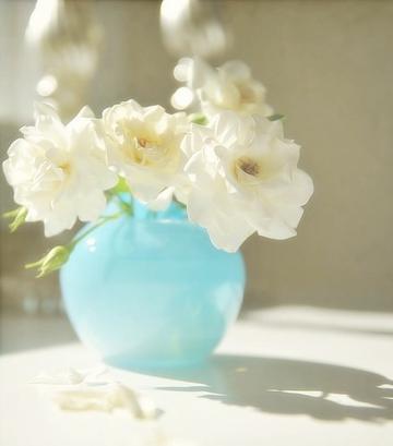 唯美意境花卉静物