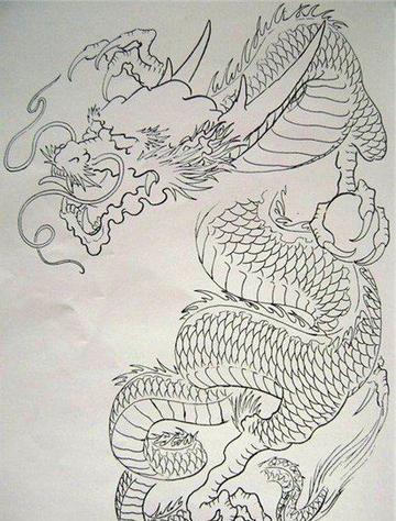 披肩龙手稿纹身