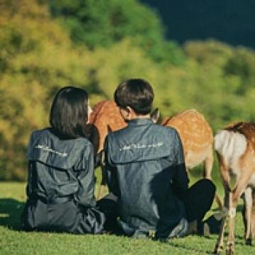 我们美好的爱情