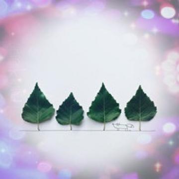 简单就是美