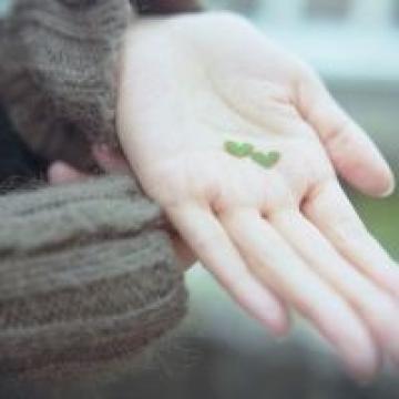 手心里的温柔