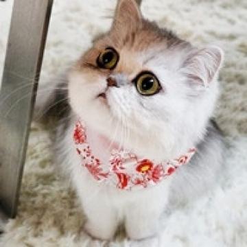 暖心的小伙伴
