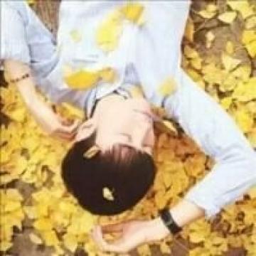 你是我的亲爱的