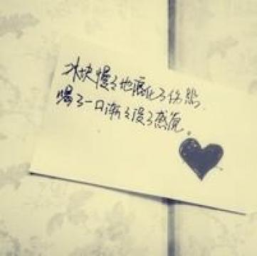 各种不同的文字