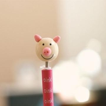 不为人知的美丽