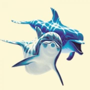 灵动漂亮的海豚
