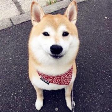 生活中的开心果