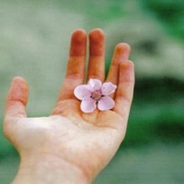 手掌心里的流年