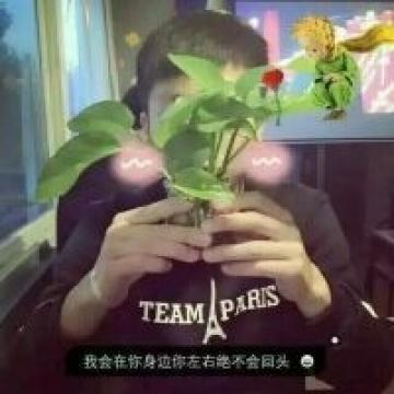 我会陪你走到老