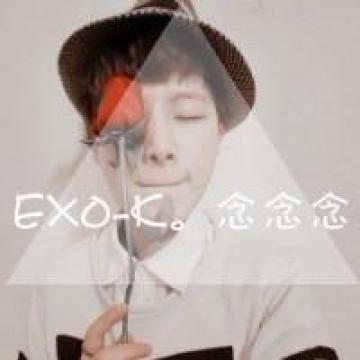 最爱的exo组合