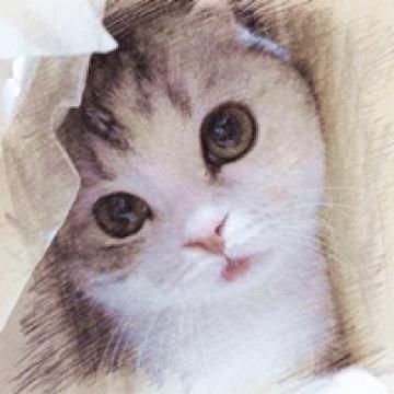 生动的素描猫咪