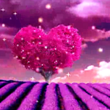 充满爱心的树