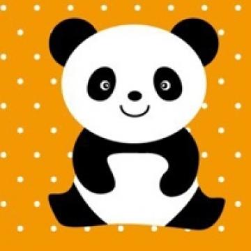 保护动物熊猫