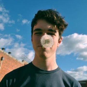 英勇的欧美少男