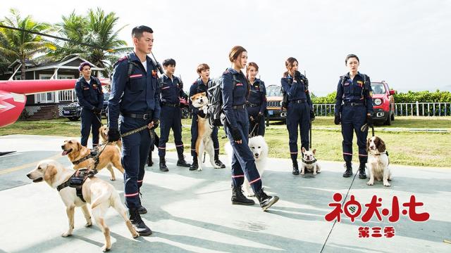 青春萌宠情感剧《神犬小七第三季》