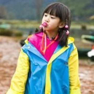 森碟的精彩生活