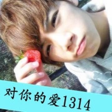 对你的爱1314