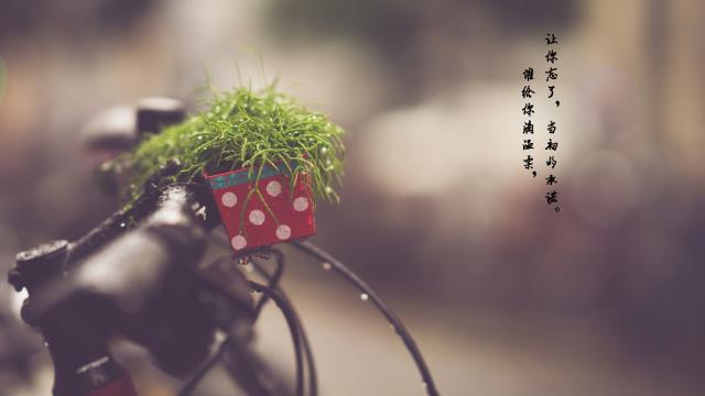 2019适合雨天发朋友圈的短句图片