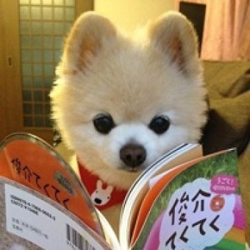家里的开心果