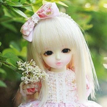 芭比娃娃的世界