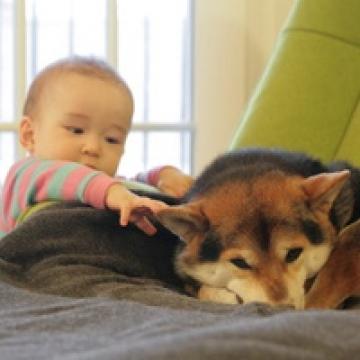 爱死小狗狗