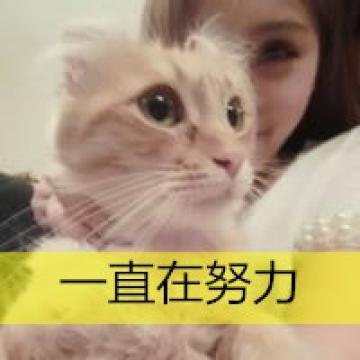 温暖女孩爱宠物