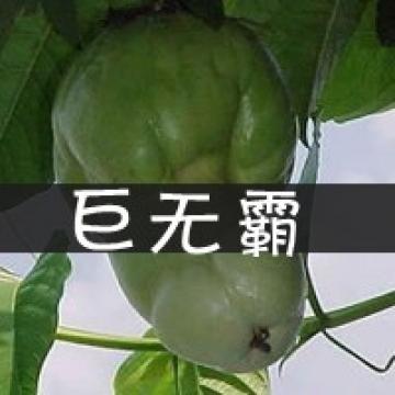 我就爱逗你玩