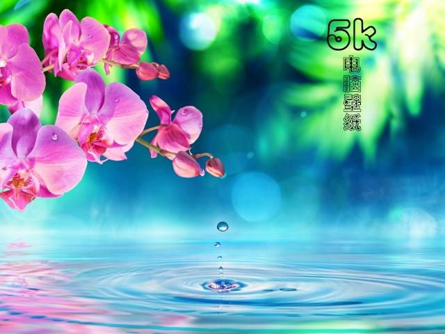 5k电脑壁纸