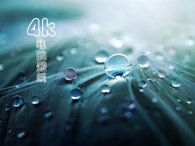 4k电脑壁纸