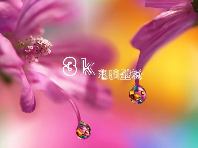 3k电脑壁纸