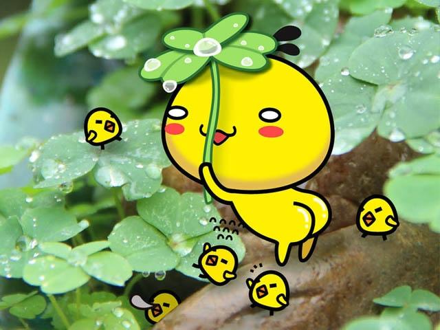 油爆叽丁