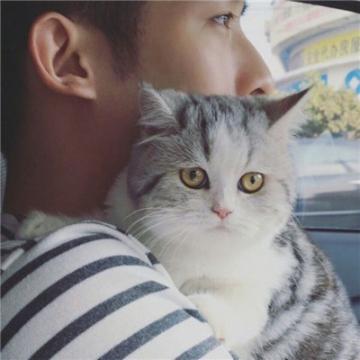 男生抱猫头像高清图片2019 我是一只爱晒太阳的小懒猫