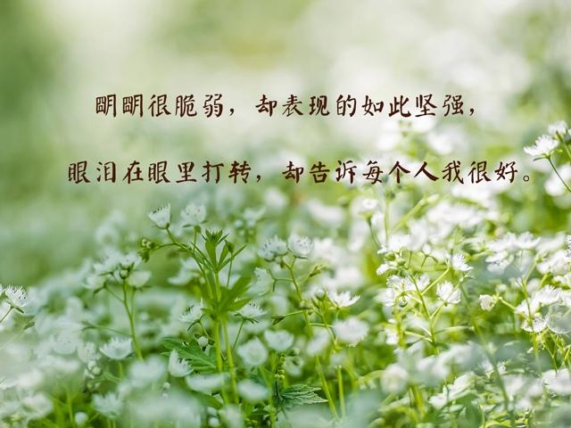 守得花开 守着无奈