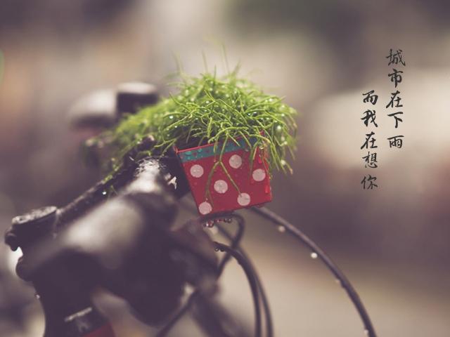 城市在下雨 而我在想你