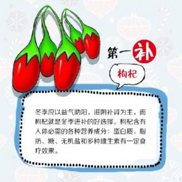 冬季第一补:枸杞