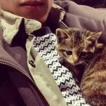 男生头像帅气阳光抱猫图片集 一个人继续走