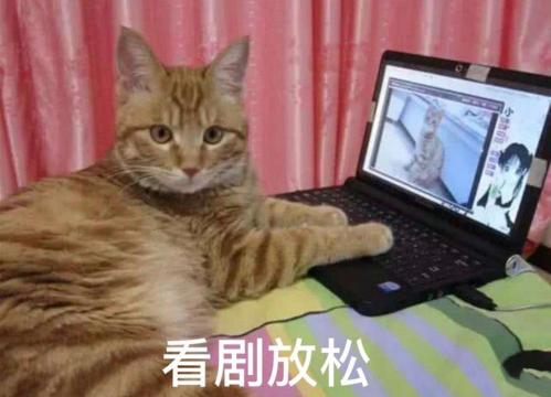 下班后的我才是真正的我