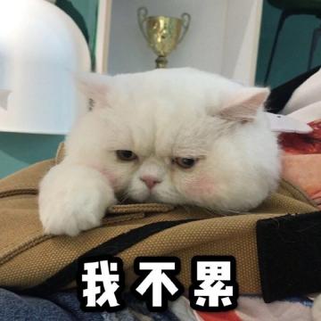 被工作摧残的你