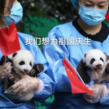 脑子里全是祖国生日