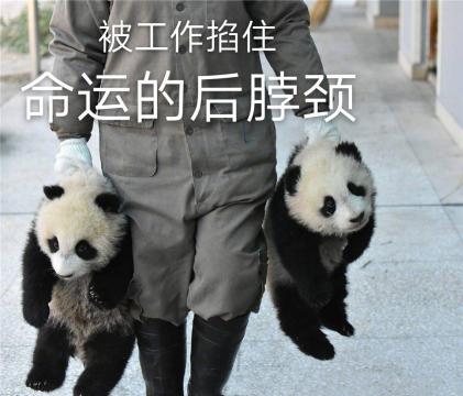 你已过完2019法定节假日