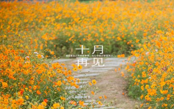 十月再见励志说说配图