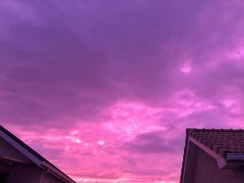 海贝思粉紫色天空