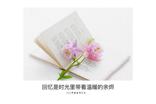2019年最后两个月