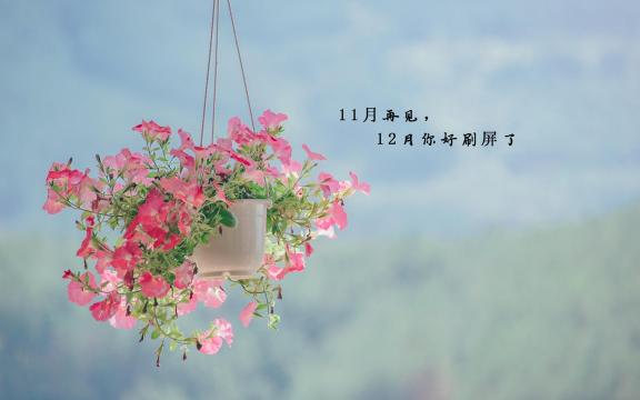 12月你好,请好好的善待自己