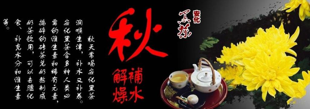 养生之道