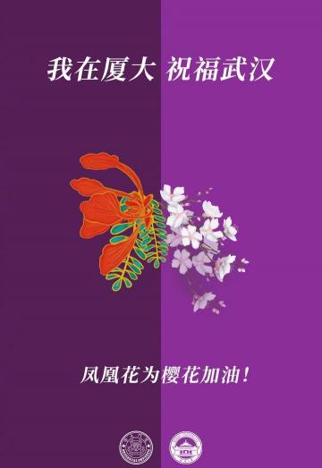 各高校校花为武大樱花送祝福